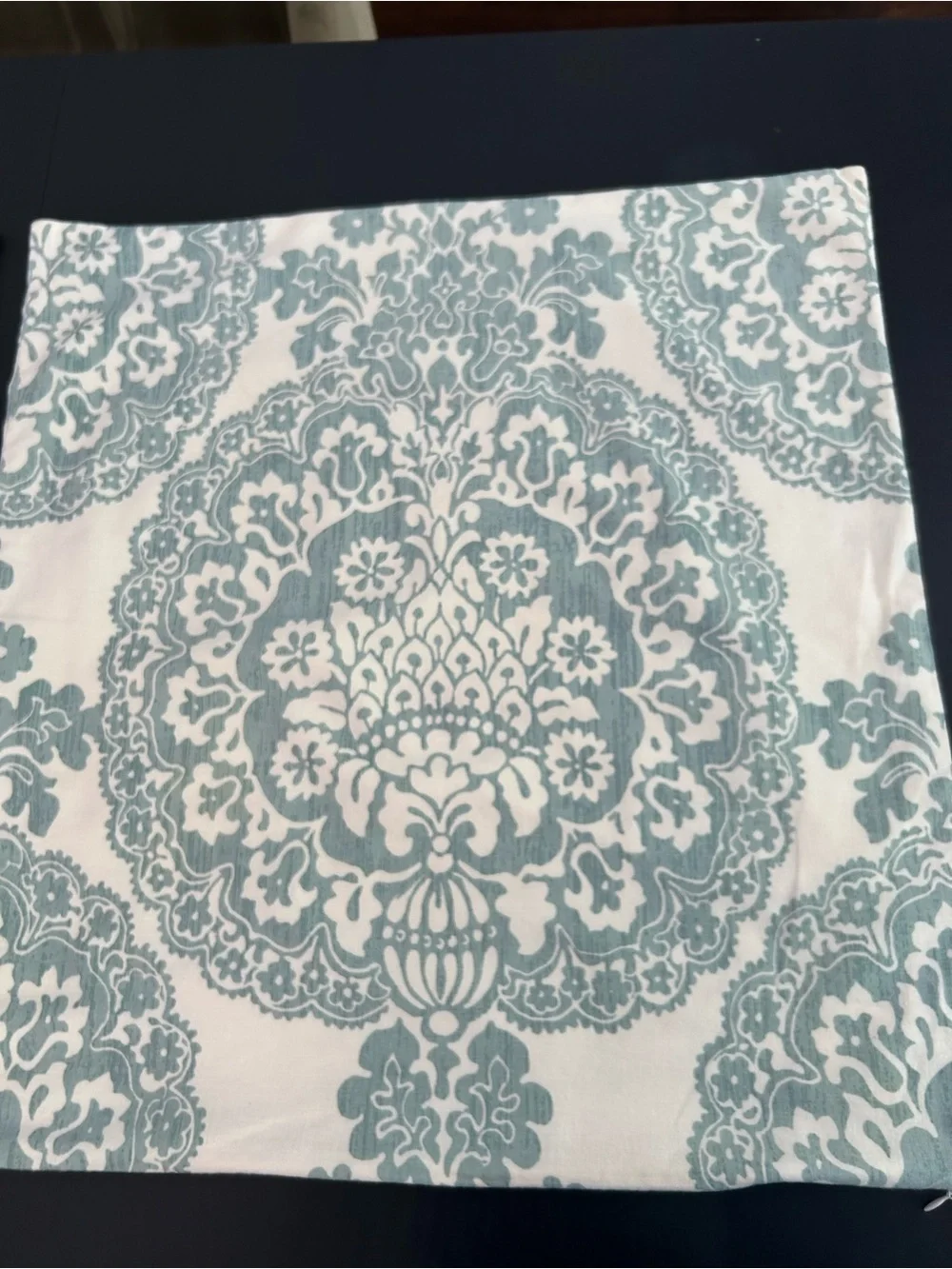Pottery Barn set of two euro Shams in Lucianna medallion pattern